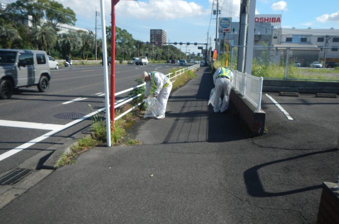 ボランティア清掃