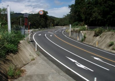 国道２２５号峰尾峠測量設計（枕崎市）